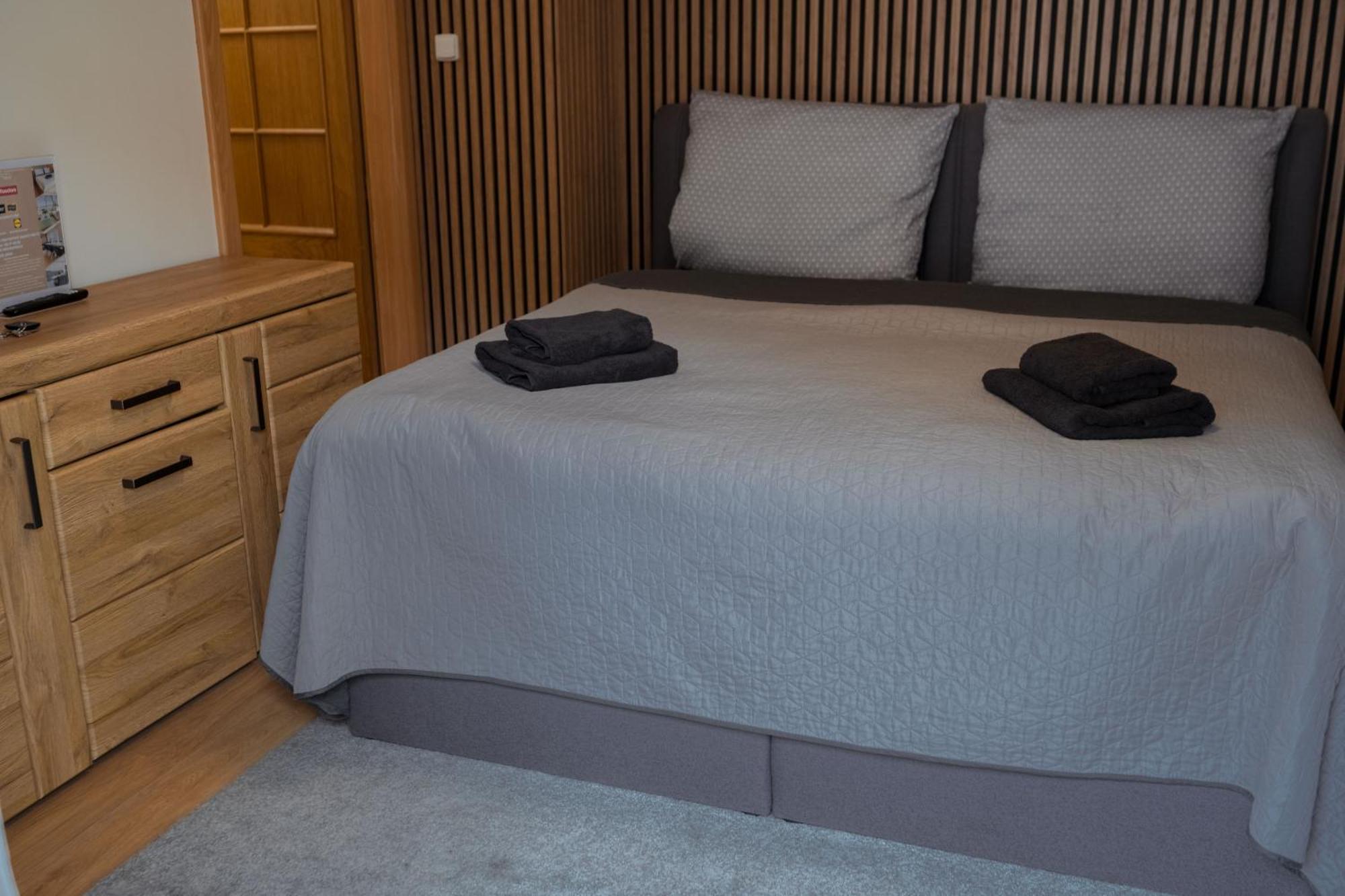 Airport Luxury Apartment & Spa 프라하 객실 사진